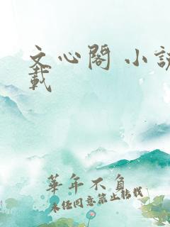 文心阁 小说连载