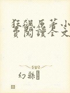 狂飙原著小说免费阅读全文