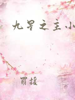 九星之主小说