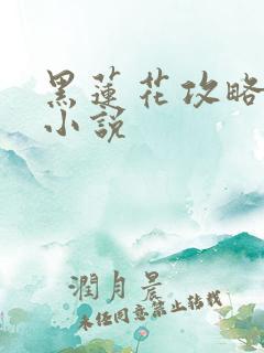 黑莲花攻略手册小说