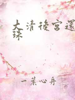 大清后宫还君明珠