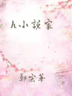 h小说家