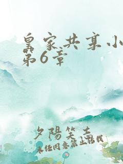 皇家共享小公主第6章