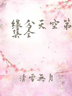 缘分天空第12集全