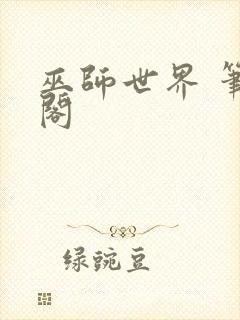 巫师世界 笔趣阁