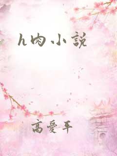 h肉小说