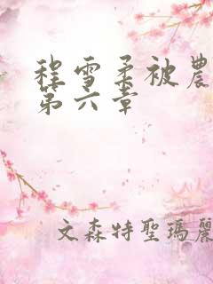 程雪柔被农民工第六章