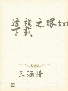 透视之眼txt下载