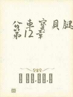 公车宝贝腿开点第12章