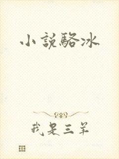 小说骆冰