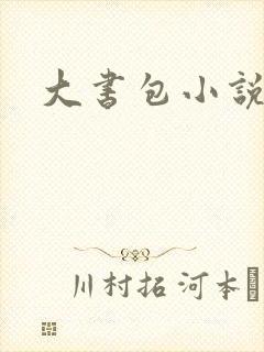 大书包小说