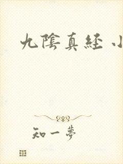 九阴真经 小说