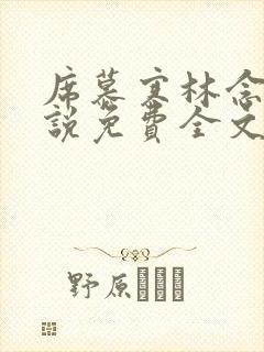 席慕寒林念儿小说免费全文阅读