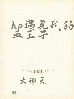 hp遇见我的混血王子