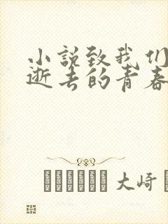 小说致我们终将逝去的青春