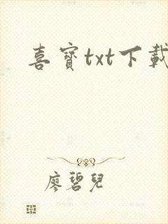 喜宝txt下载