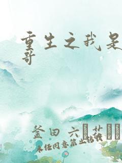 重生之我是大帅哥