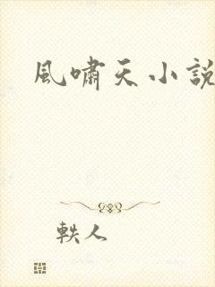 风啸天小说