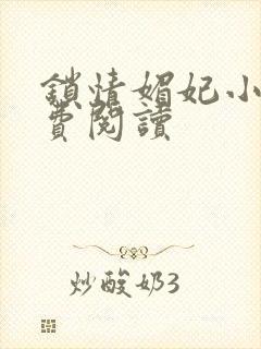 锁情媚妃小说免费阅读