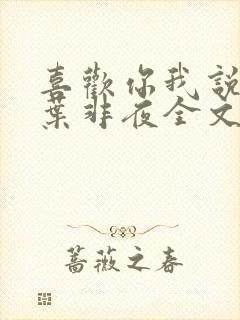 喜欢你我说了算叶非夜全文免费阅读