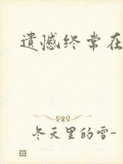 遗憾终常在小说