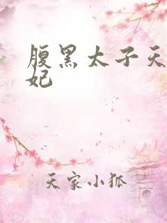 腹黑太子天降萌妃