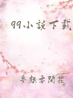 99小说下载网
