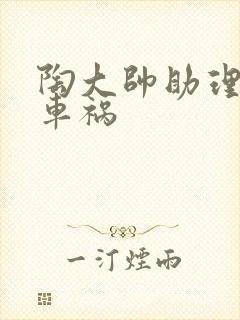 陶大帅助理子豪车祸