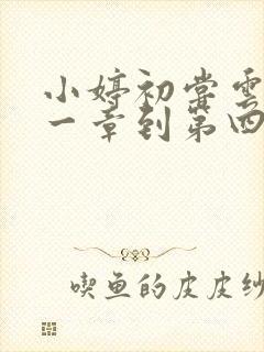 小婷初尝云雨第一章到第四章