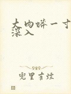 大肉蟒一寸寸地深入