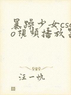 暴躁少女csgo视频播放器推荐