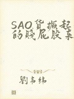 SAO货撅起你的贱屁股来