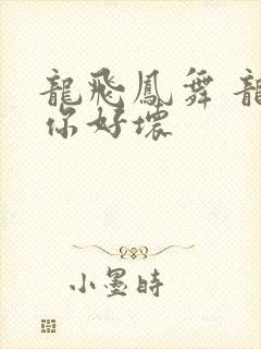 龙飞凤舞 龙王你好坏