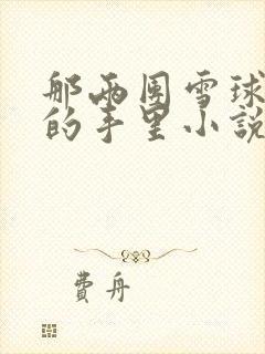 那两团雪球在他的手里小说