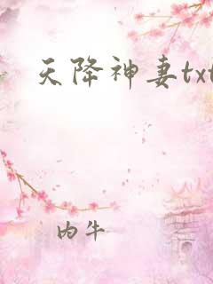 天降神妻txt