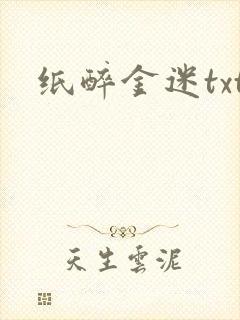 纸醉金迷txt