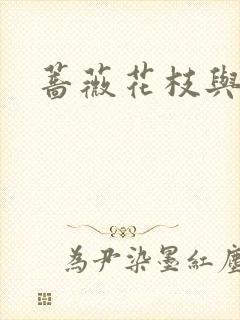 蔷薇花枝与灰烬