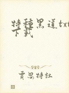 特种黑道txt下载