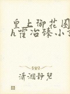 皇上御花园hlh霍冶臻小说