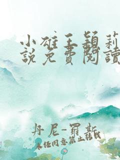 小雄王颖莉的小说免费阅读全文