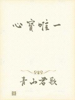 心宝唯一