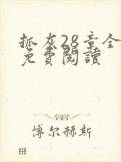 抓灰28章全部免费阅读