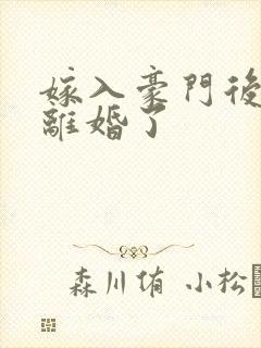 嫁入豪门后我又离婚了