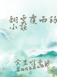 翻云覆雨的秘密小说