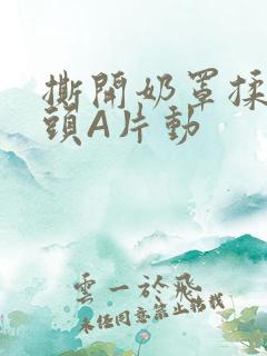 撕开奶罩揉吮奶头A片动