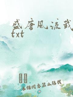 盛唐风流武状元txt