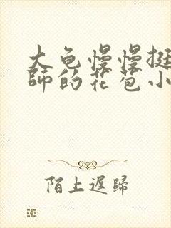 大龟慢慢挺进老师的花苞小说