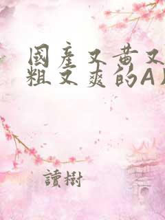 国产又黄又猛又粗又爽的A片小说