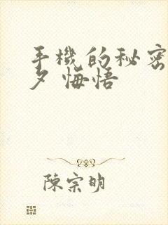 手机的秘密 七夕 悔悟