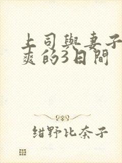 上司与妻子干到爽的3日间